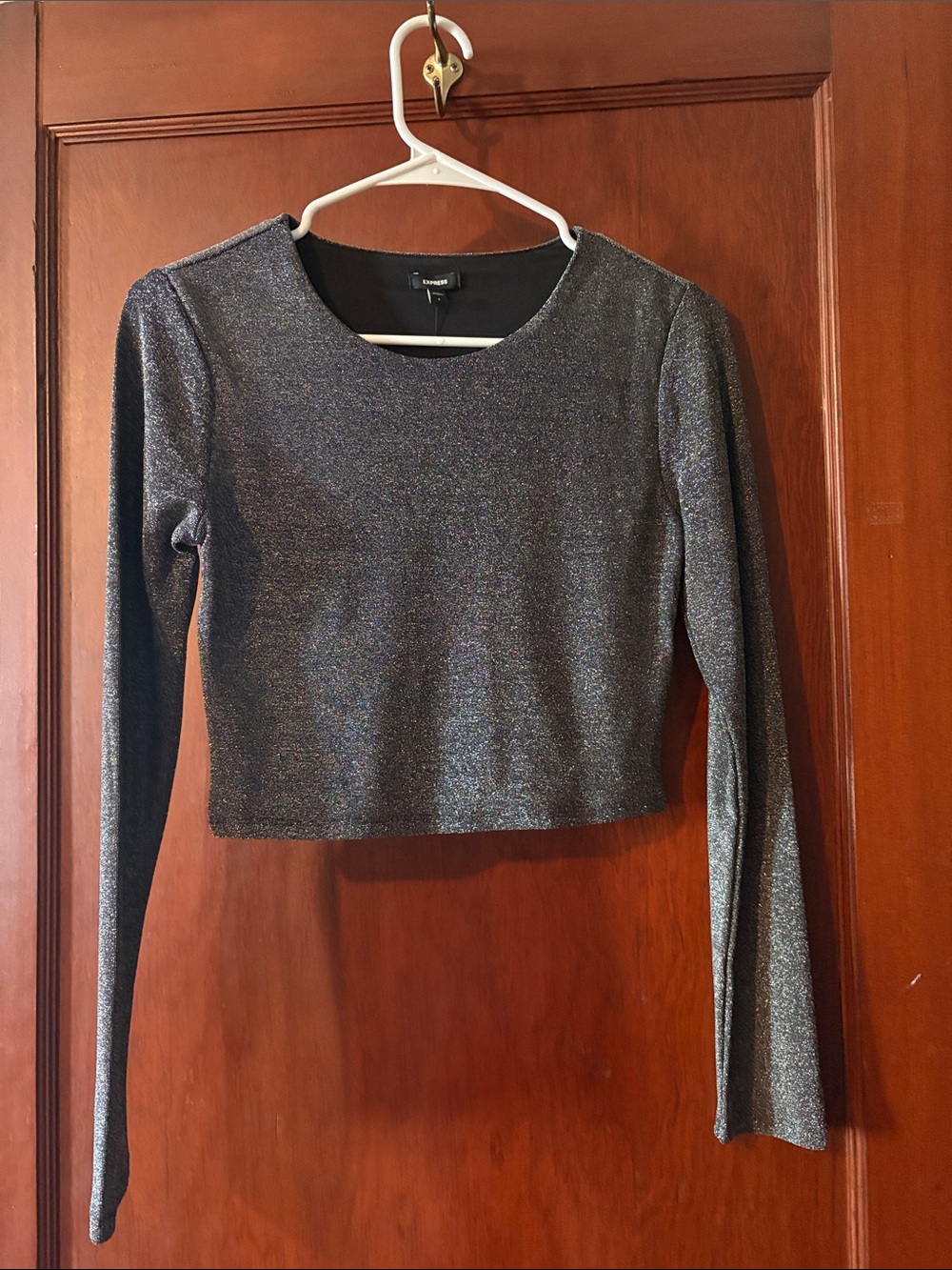 Express Shimmery Gunmetal Long-Sleeve Crop Top